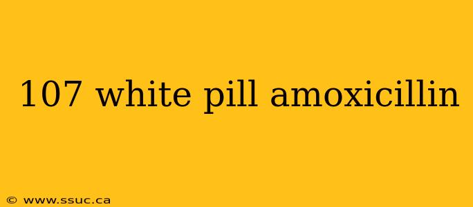 107 white pill amoxicillin