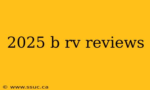 2025 b rv reviews