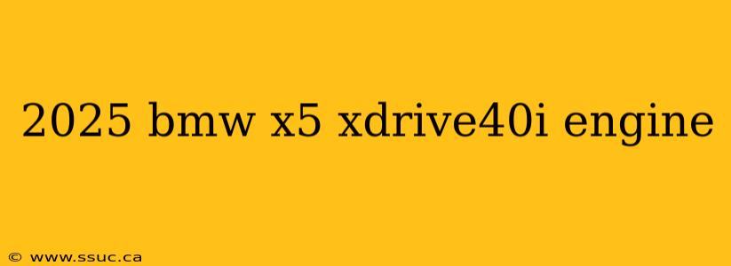 2025 bmw x5 xdrive40i engine