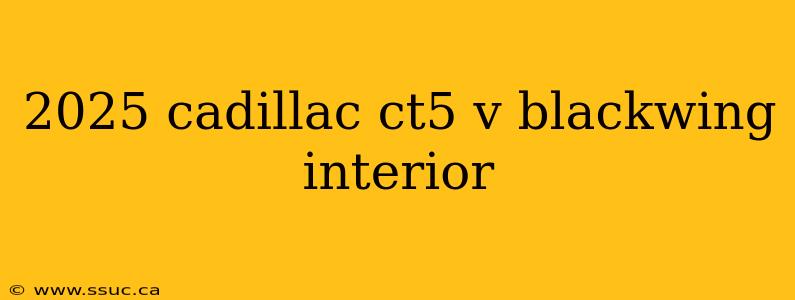 2025 cadillac ct5 v blackwing interior