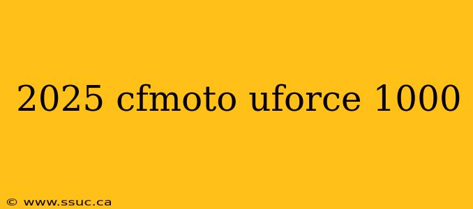2025 cfmoto uforce 1000