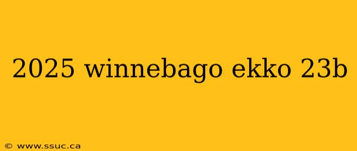 2025 winnebago ekko 23b