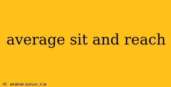 average sit and reach