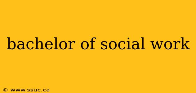 bachelor of social work