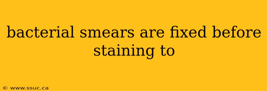 bacterial smears are fixed before staining to