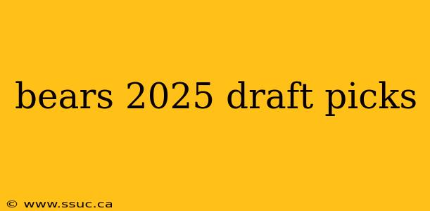 bears 2025 draft picks