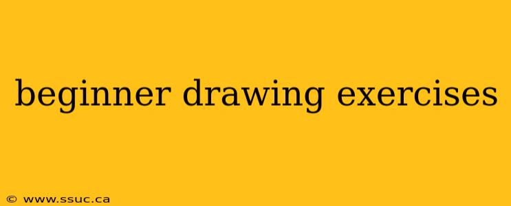 beginner drawing exercises