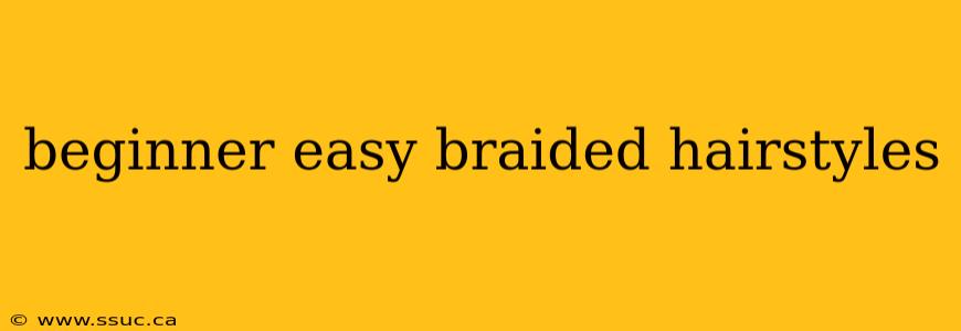 beginner easy braided hairstyles