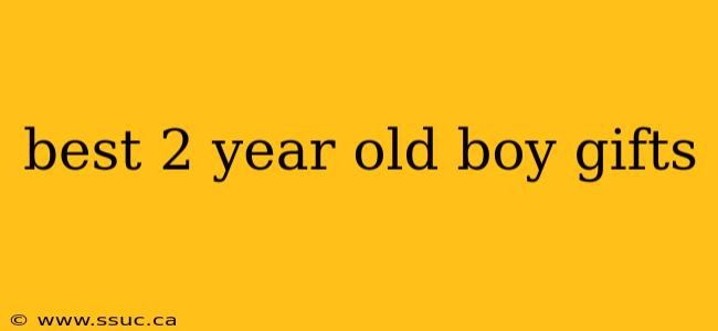 best 2 year old boy gifts