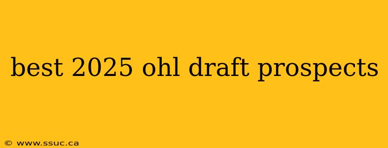 best 2025 ohl draft prospects