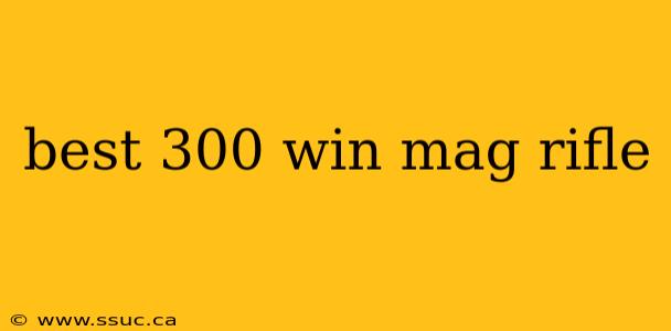 best 300 win mag rifle