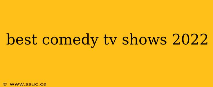 best comedy tv shows 2022