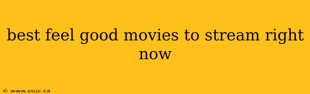 best feel good movies to stream right now