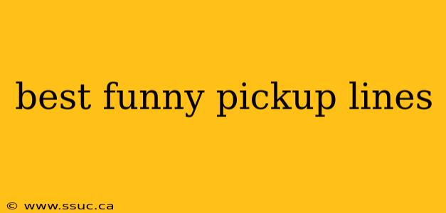best funny pickup lines