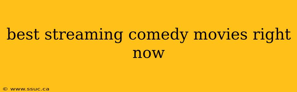 best streaming comedy movies right now