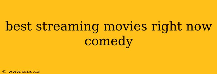 best streaming movies right now comedy