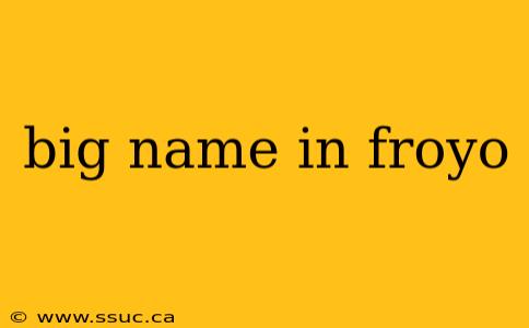 big name in froyo