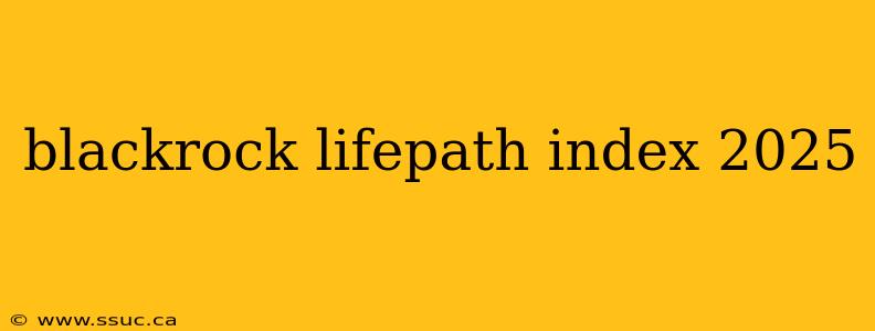 blackrock lifepath index 2025