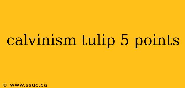 calvinism tulip 5 points