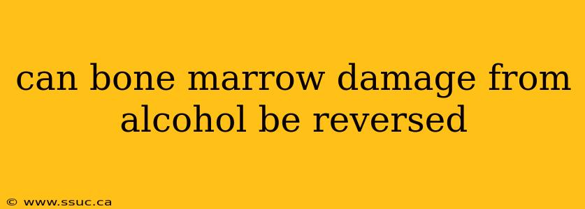 can bone marrow damage from alcohol be reversed
