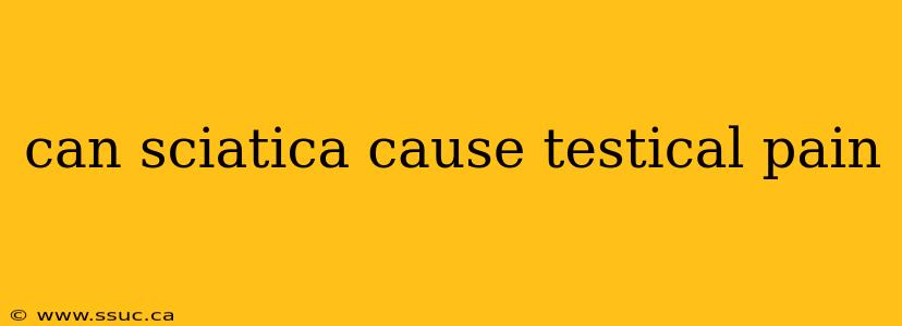 can sciatica cause testical pain