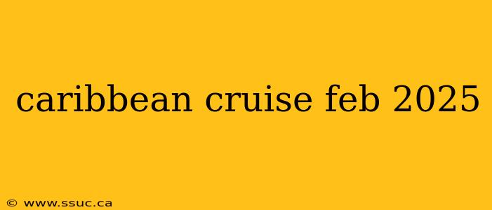 caribbean cruise feb 2025