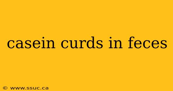 casein curds in feces