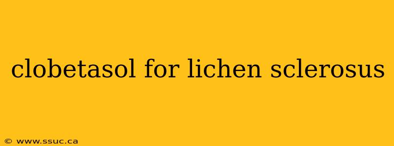 clobetasol for lichen sclerosus