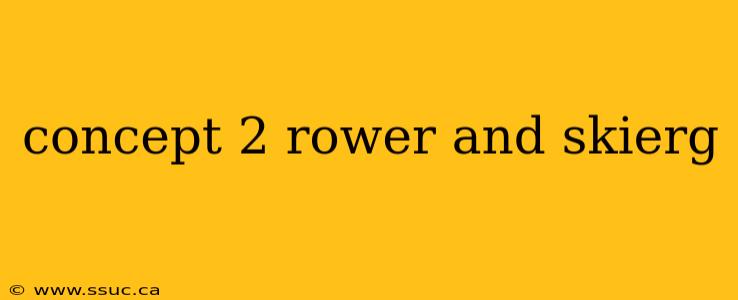 concept 2 rower and skierg