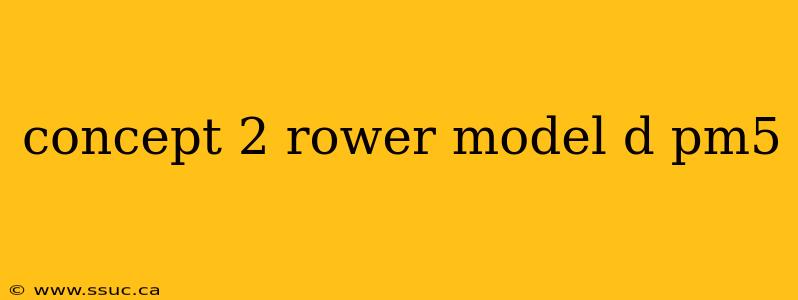 concept 2 rower model d pm5