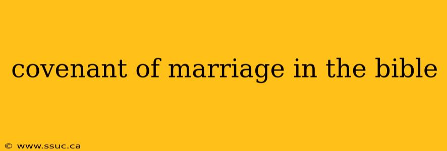 covenant of marriage in the bible