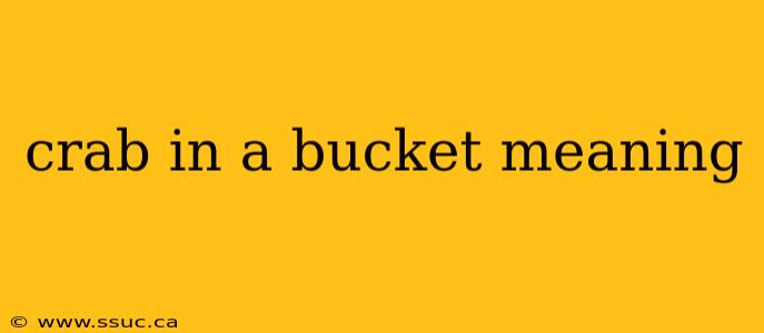 crab in a bucket meaning