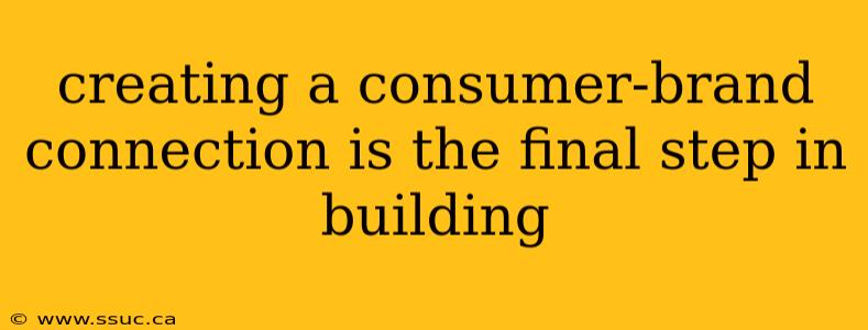 creating a consumer-brand connection is the final step in building