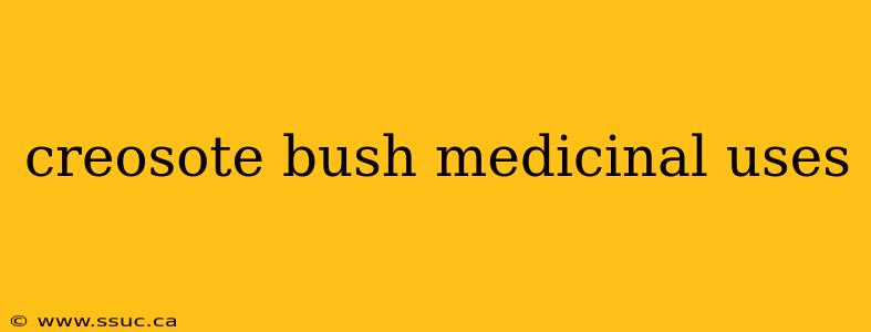 creosote bush medicinal uses