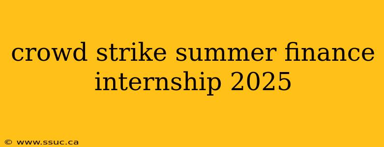 crowd strike summer finance internship 2025