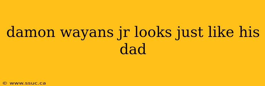 damon wayans jr looks just like his dad