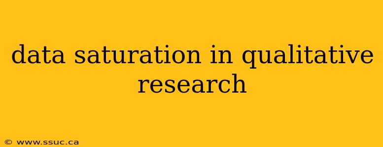 data saturation in qualitative research