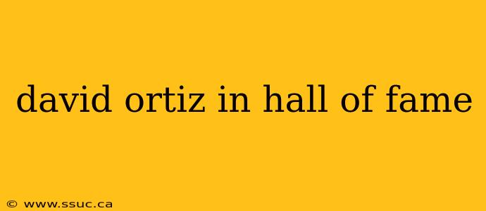 david ortiz in hall of fame