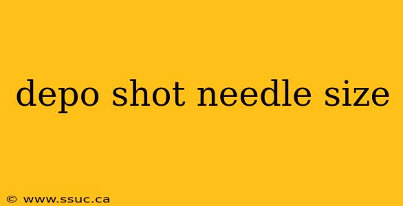 depo shot needle size