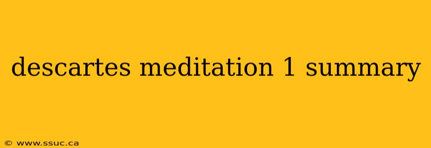 descartes meditation 1 summary