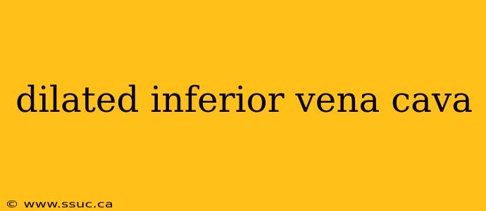 dilated inferior vena cava