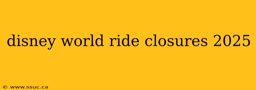 disney world ride closures 2025