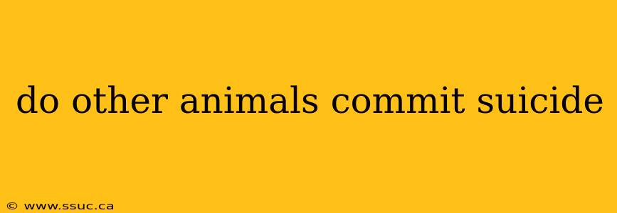 do other animals commit suicide