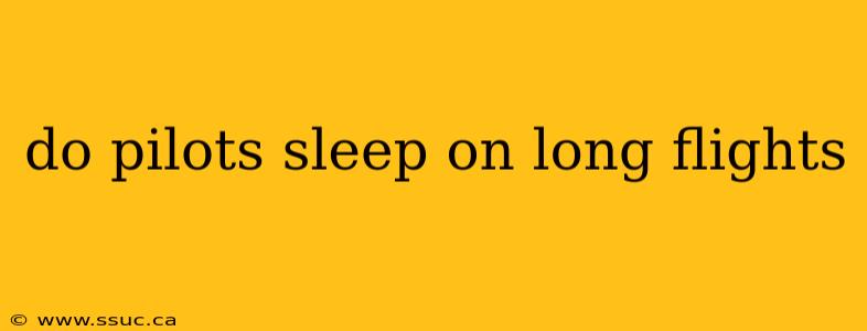do pilots sleep on long flights