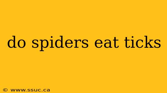do spiders eat ticks