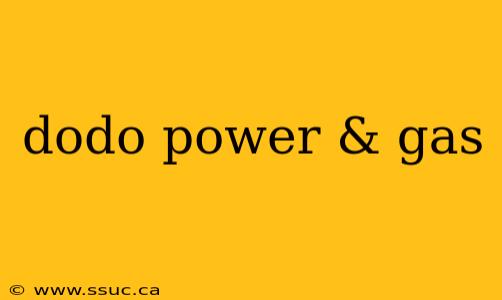 dodo power & gas