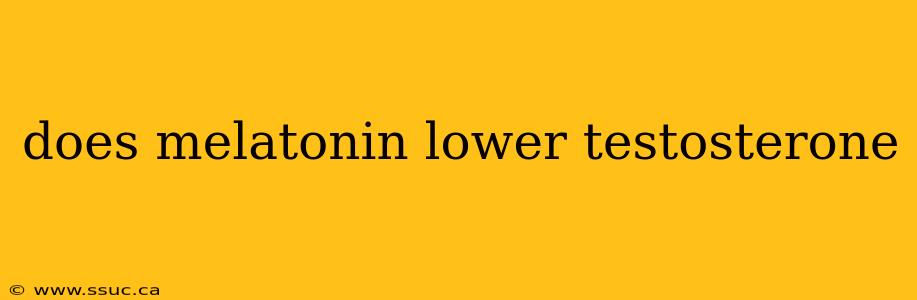 does melatonin lower testosterone