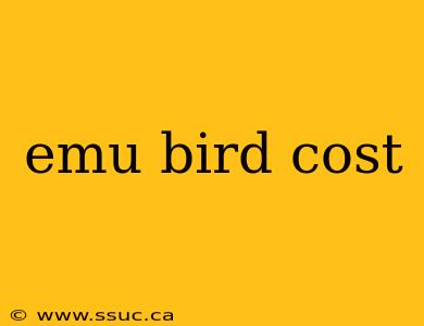 emu bird cost