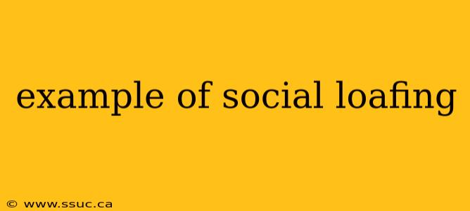 example of social loafing