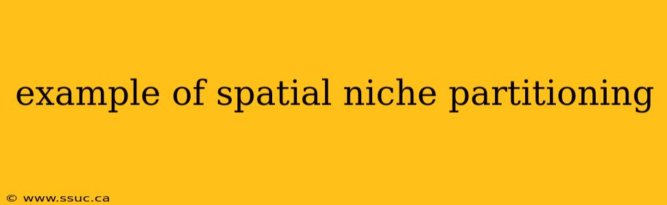 example of spatial niche partitioning